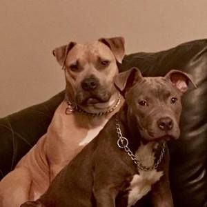 Meet your Posher, Felicia